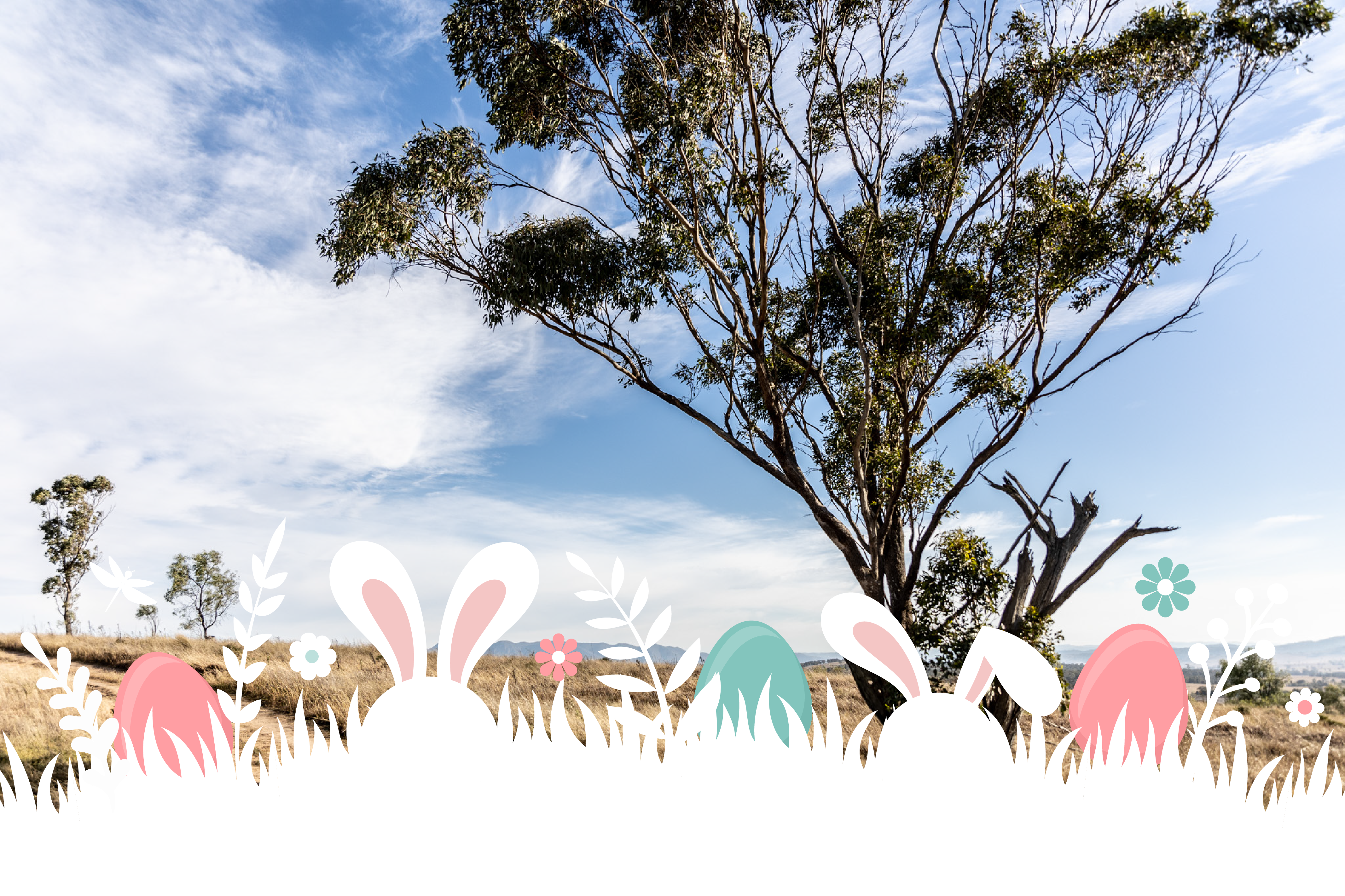 Unleash Your Child’s Creative Spirit: Malabar Resources Easter Colouring Competition